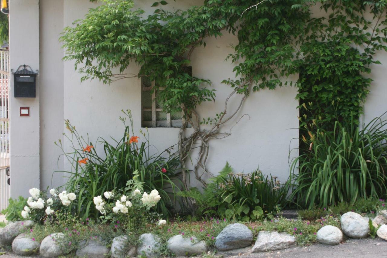 Guest House Al Devesio Rifreddo Экстерьер фото